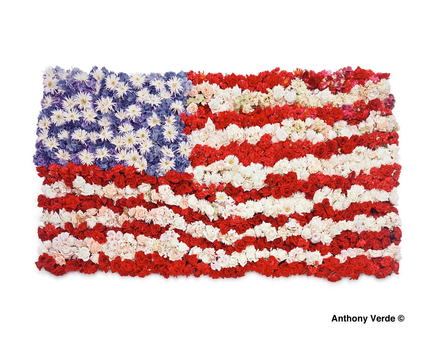 Americanflagflowersstilllifephotography